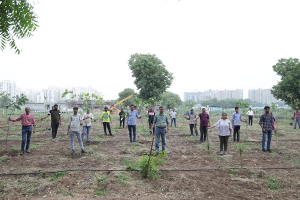 Tree Plantation was done by 7Array Solution Pvt Ltd