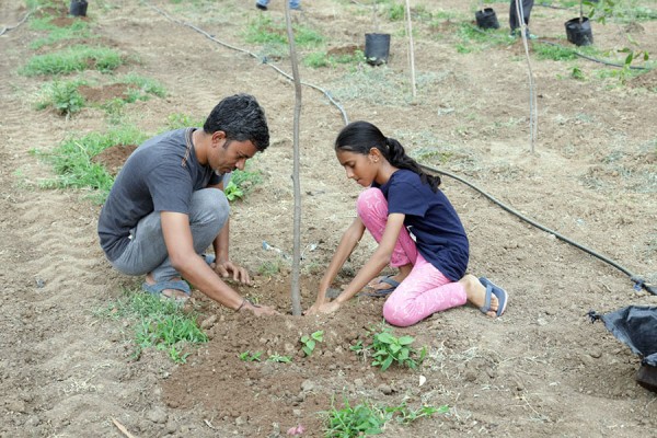 the tree plantation event day